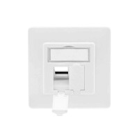 Tragring Trägerrahmen 2x Keystone Module RJ45 Netzwerkd