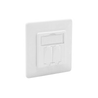 Tragring Trägerrahmen 2x Keystone Module RJ45 Netzwerkd