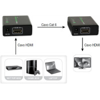Techly HDMI Extender über Netzwerkkabel Cat.5e/6 bis zu