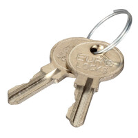 Ersatzschlüssel für Netzwerksc gallery