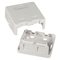 Netzwerkdose Verteilerbox Aufputz 2-Port mit Staubschutzklap