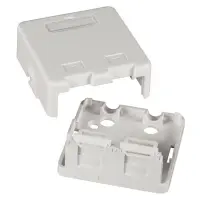 Netzwerkdose Verteilerbox Aufputz 2-Port mit Staubschutzklap