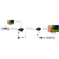 Techly HDMI Extender Full HD über RJ45 Cat.6/6A/7 mit P