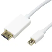 Techly Mini-DisplayPort (Thunderbolt) au gallery