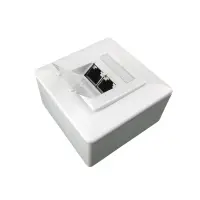 profipatch double wall socket cat.6a with back box  white to