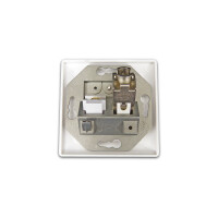 ProfiPatch Kombi Netzwerkdose Keystone Cat6a 500MHz 10Gbit R