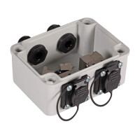 IP67 Verteilerbox Cat.6A mit 2xRJ45 Ports und 2xM16 Verschra