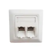 profipatch combi outlet 2x rj45 keystone cat.6a 10gbit lan 4