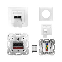 profipatch cat.6a outlet shielded vertical lsa 2-port w