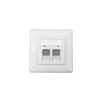 ProfiPatch Cat.6A Netzwerkdose Datendose Unterputz 2-Port mi