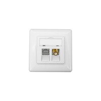 profipatch 1x cat.6a ral 9003 with keystone jack modul 10gbi