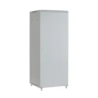 Netzwerkschrank 19 Zoll 42HE PEL Breite 800mm Tiefe 1000mm g